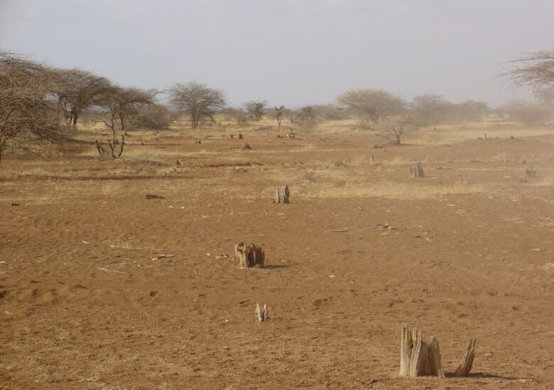 CLIMATE AND ENVIRONMENT