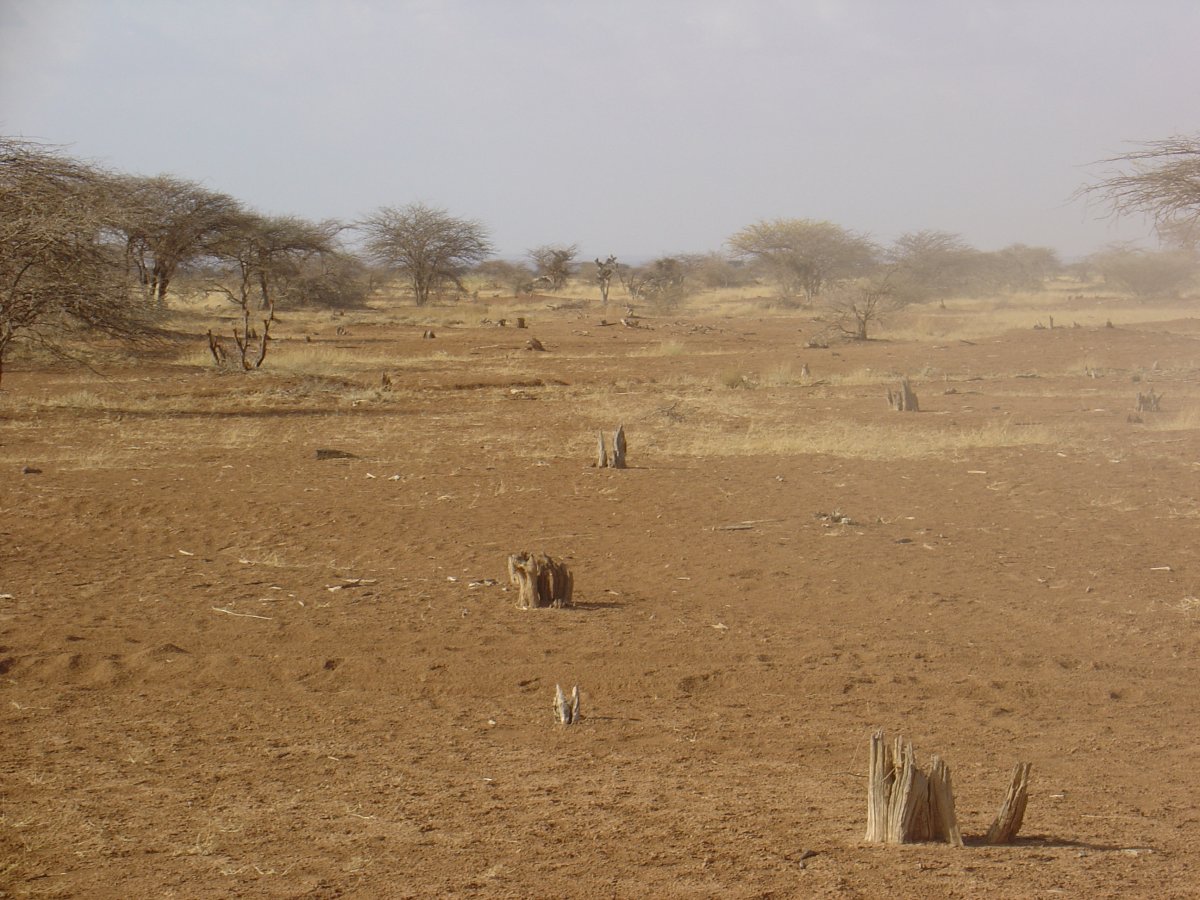 CLIMATE AND ENVIRONMENT